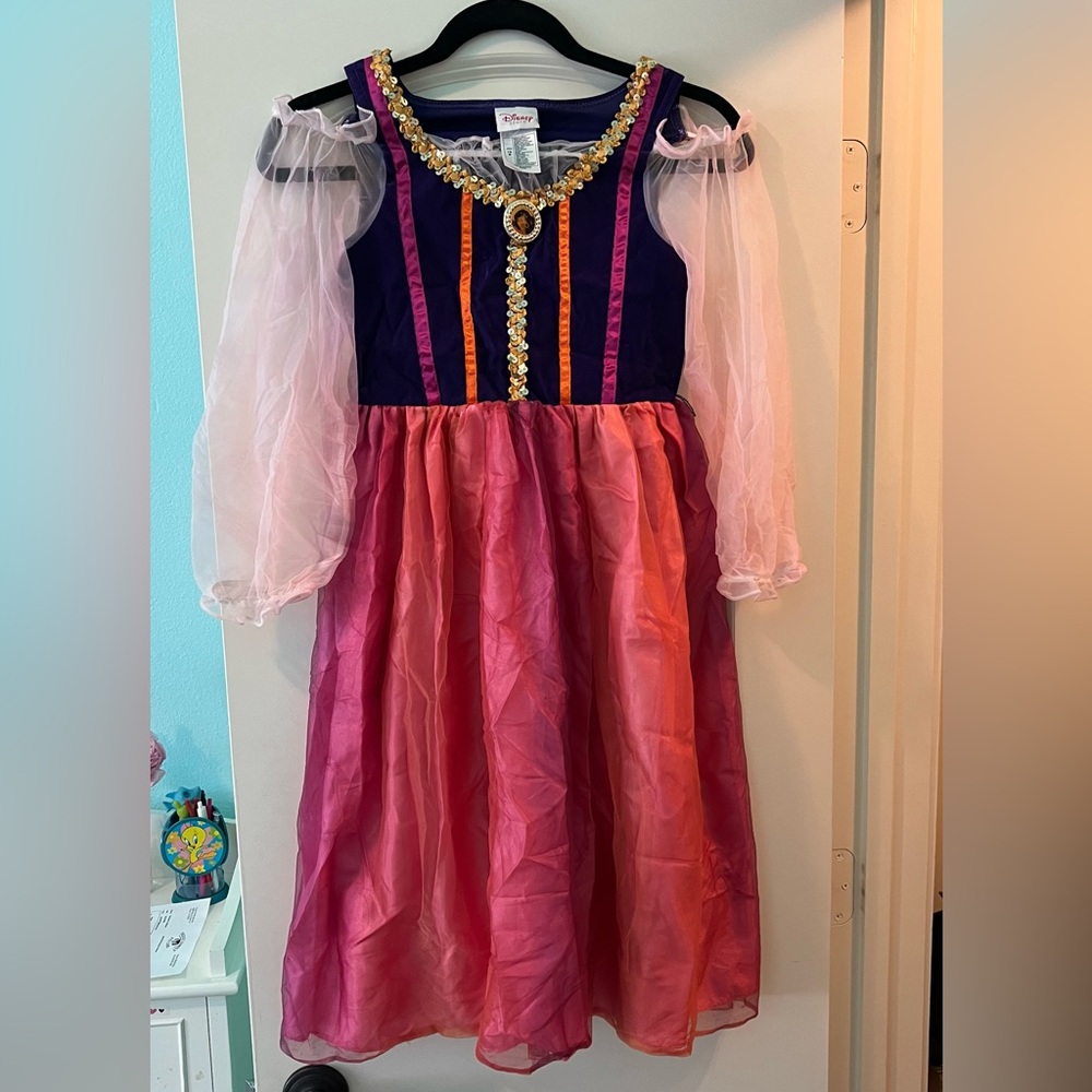 Disney Esmeralda Costume